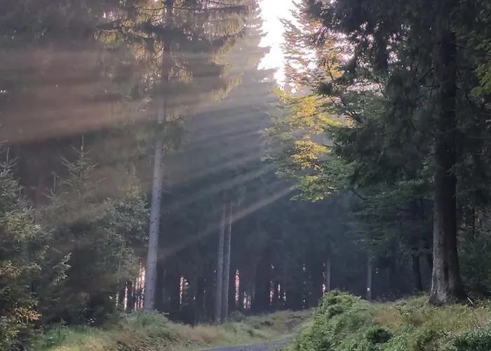 Hotel Am Eisenberg Schmiedefeld am Rennsteig